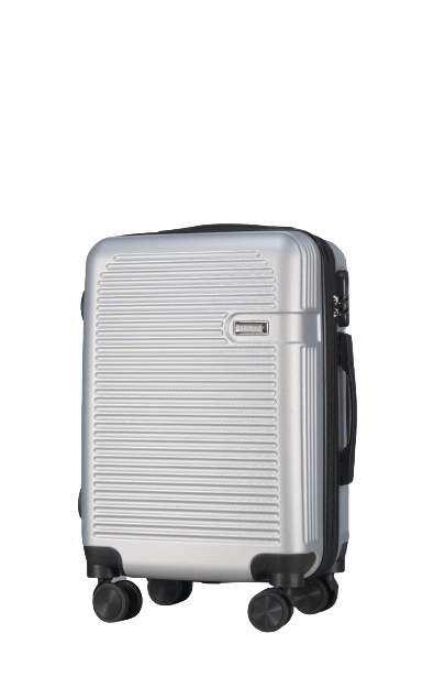 Travel Life ABS Spinner Expendable (Single) - Silver, 20" image
